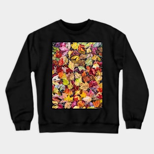 'FALLEN AUTUMN' Crewneck Sweatshirt